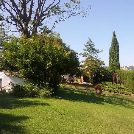 Vittoria